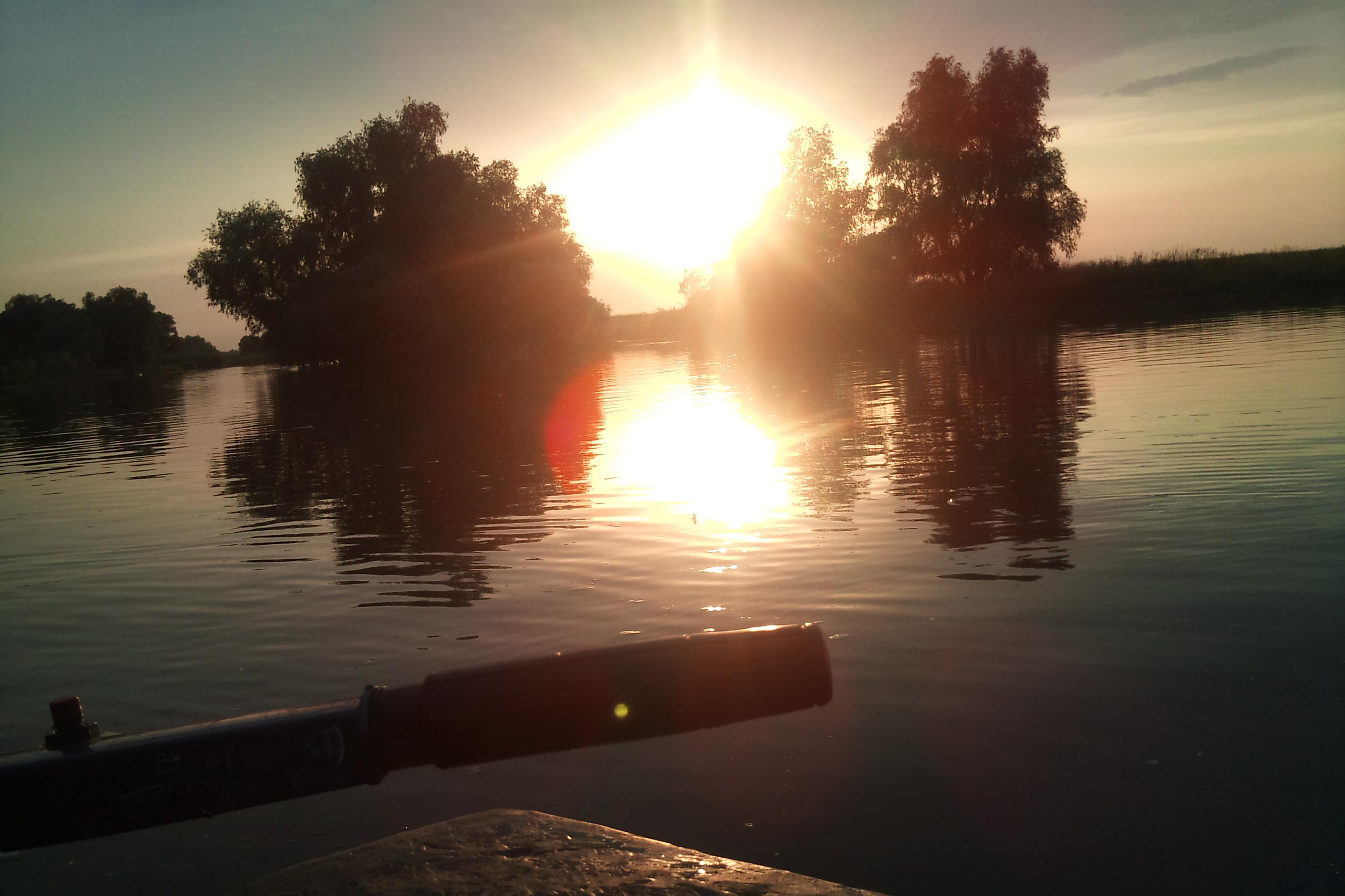 DELTA 2011  MILA 23 - DSC00197.JPG